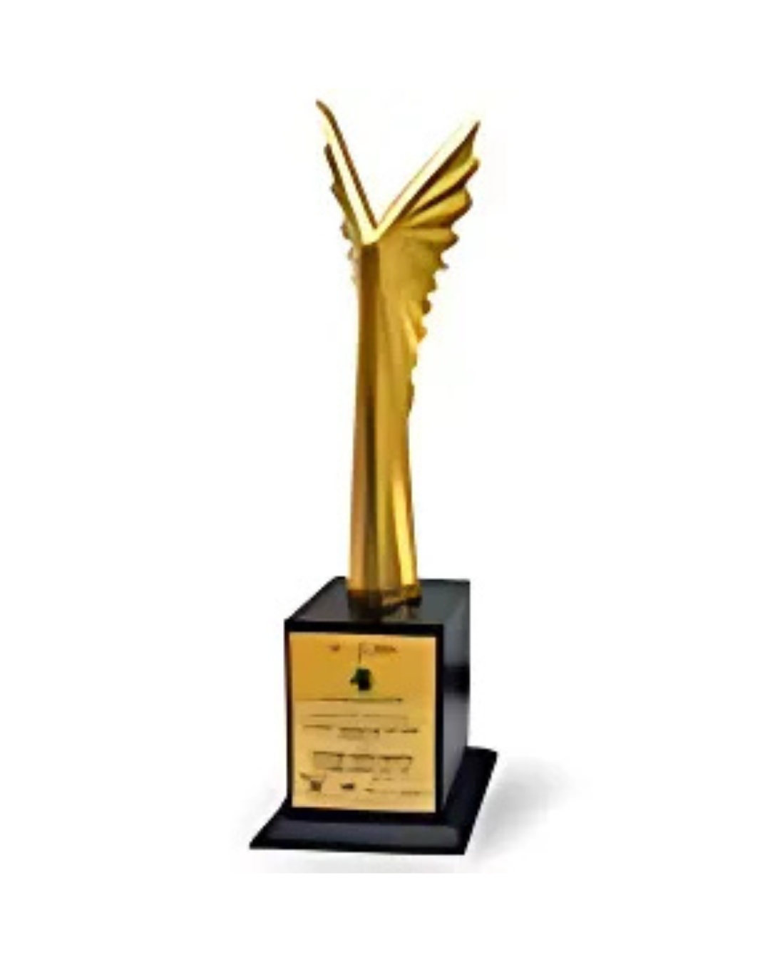 Vijay Rattan Gold Medal Award